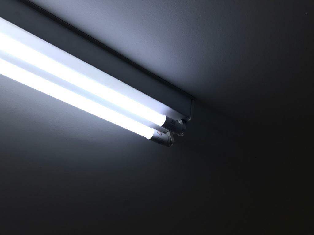 Lâmpadas fluorescentes são uma boa opção para quem quer economizar energia. (Foto: Adriano Fernandes) 
