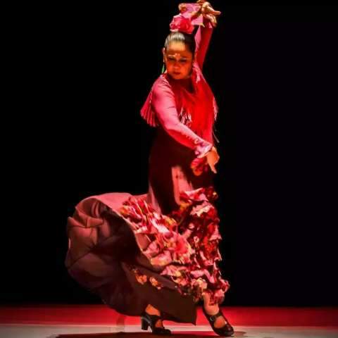 Cia. Embrujos de España celebra 30 anos de flamenco e história em filme