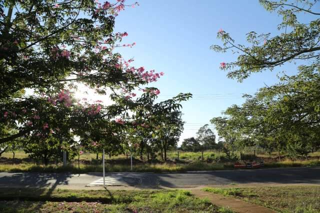 Maio come&ccedil;a com sol, tempo claro e seco em grande parte de MS