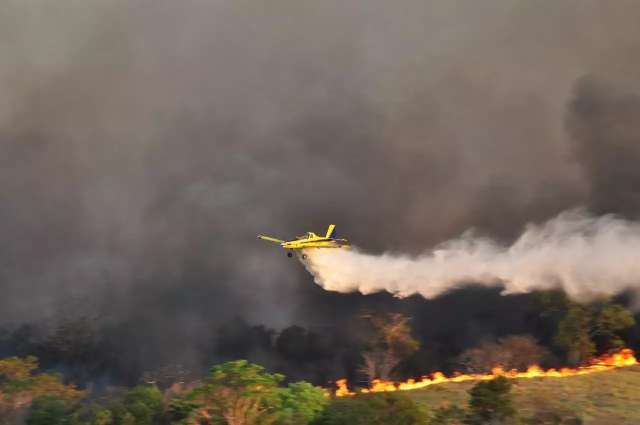 Antes que fogo fique incontrol&aacute;vel, governo decreta emerg&ecirc;ncia ambiental em MS