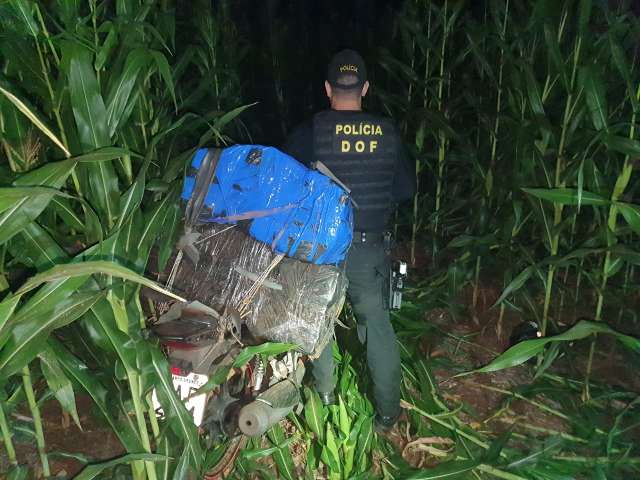 Moto furtada na Capital &eacute; encontrada em milharal com 128 quilos de maconha 