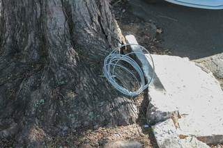 Cabo rompido foi enrolado e deixado em tronco de árvore (Foto: Marcos Maluf)