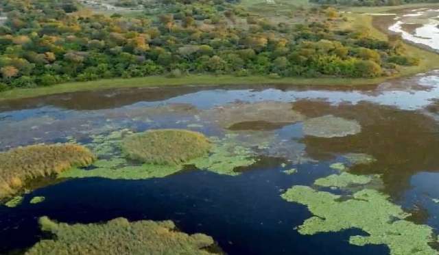 Decreto desapropria fazendas para implanta&ccedil;&atilde;o de parque estadual no Pantanal