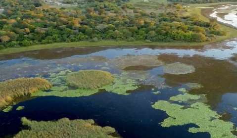 Decreto desapropria fazendas para implantação de parque estadual no Pantanal