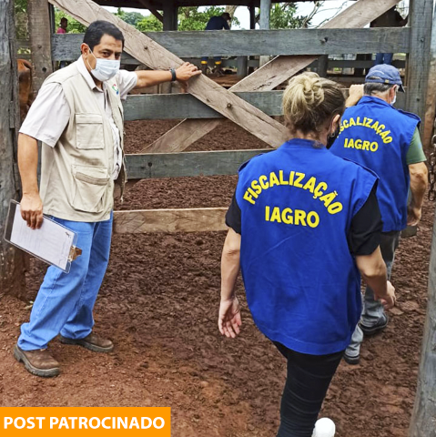 Iagro recebe auditoria para avaliar mudança de status sanitário de aftosa