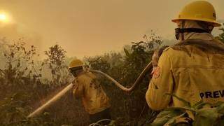 Equipe do Prevfogo em atuação nos incêndios floretais no Pantanal, no ano passado (Foto/Divulgação)