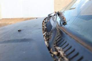 Situação doa lataria do automóvel e marcas do tempo denunciam o abandono (Foto: Paulo Francis)