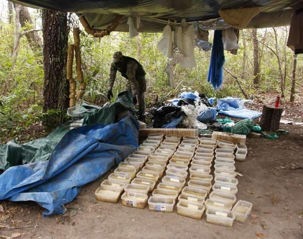 Produzida em acampamento, coca&iacute;na sa&iacute;a de avi&atilde;o do meio da floresta