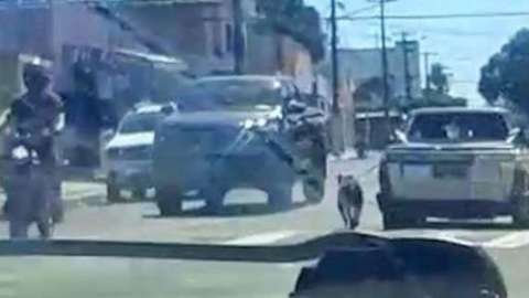 Motorista flagrado puxando cachorro em veículo presta depoimento à polícia 