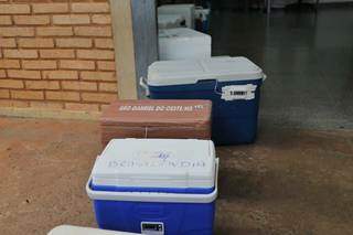 Caixas de cada município que serão utilizadas para armazenar doses de vacina (Foto: Paulo Francis)