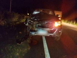 Veículo Hilux após atropelamento na BR-060, região de Nioaque. (Foto: Edicarlos Oliveira/Alto Paraguai FM)