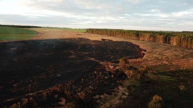 Agropecu&aacute;ria &eacute; multada em R$ 58 mil por inc&ecirc;ndio em fazenda