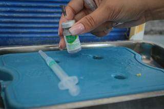 Frasco de vacina contra gripe ao lado de seringa antes da aplicação. (Foto: Marcos Maluf)