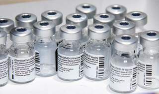 Ampolas contendo doses da vacina Pfizer/BioNTech (Foto: Agência Brasil) 
