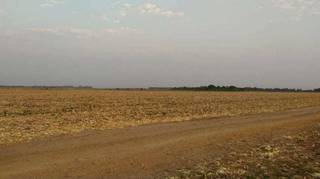 Fazenda Gameleira tem cultivo de soja e fica perto do atual aterro sanitário. (Foto: Reprodução)