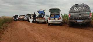 Os nove carros interceptados pelo DOF com contrabando na fronteira (Foto: Divulgação)