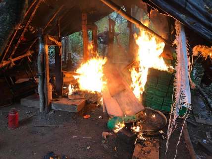 Polícia paraguaia destrói acampamentos e 6 t de maconha em meio a mata fechada