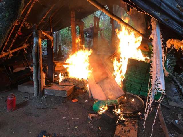 Pol&iacute;cia paraguaia destr&oacute;i acampamentos e 6 t de maconha em meio a mata fechada