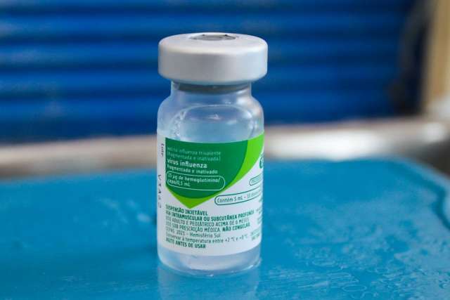 Vacina contra a gripe come&ccedil;a amanh&atilde; para idosos a partir de 80 anos