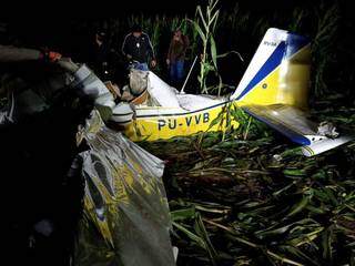 Aeronave destruída no milharal após a queda. (Foto: Sidney Assis) 