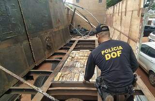 Empresa mineira &eacute; suspeita de transportar maconha em carga de arroz a granel