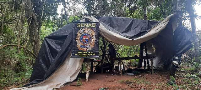 A&ccedil;&atilde;o contra produtores de maconha destr&oacute;i 12 toneladas da droga na fronteira
