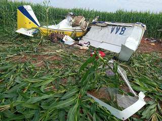 Aeronave caiu em meio a plantação de milho de São Gabriel do Oeste. (Foto: Sidney Assis)
