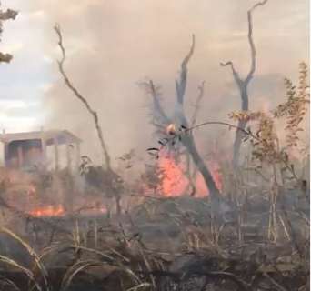 Fogo em vegetação cobre região do Rita Vieira com fumaça