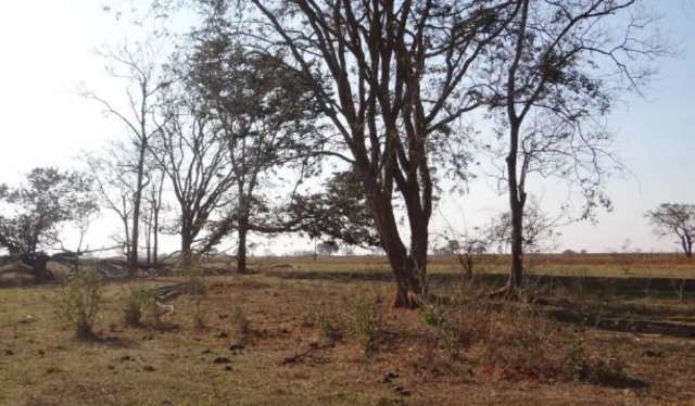 Loteamento em antiga fazenda na sa&iacute;da para Cuiab&aacute; &eacute; tema de audi&ecirc;ncia p&uacute;blica