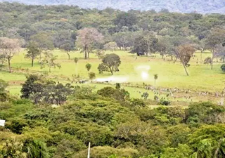 Região da fazenda Buriti, em Sidrolândia, local de confronto em 2013. (Foto: João Garrigó/Arquivo)
