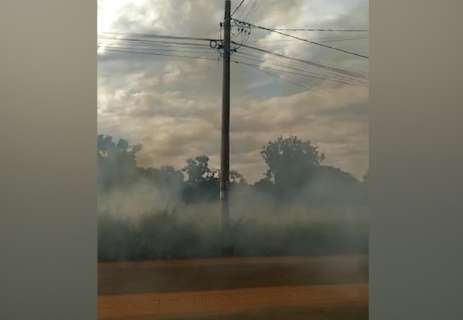 Queimada é problema diário para moradores dos Jardim Los Angeles