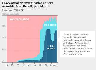 Qual &eacute; a idade dos vacinados no Brasil? Faltam muitos idosos?