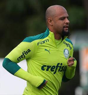 Felipe Melo, capitão do Palmeiras, faz treino físico (Foto: Divulgação)