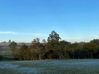 Ponta Porã teve geada nesta segunda-feira e mínima de 9ºC (Foto: Direto das Ruas)