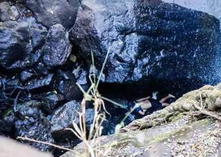 Corpo de Gleison foi achado entre as pedras da cachoeira do Inferninho. Perícia complentar identificou sinais de amarradura pelos punhos. (Foto: Henrique Kawaminami)