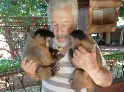 Justiça nega habeas corpus aos macacos Chiquinho e Catarina, “filhos” de Vicente