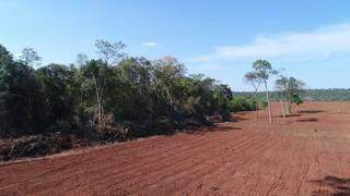 Área de Mata Atlântica desmatada ilegalmente foi um dos vários alvos de multa aplicada pela PMA nos últimos meses (Foto: Divulgação/PMA)