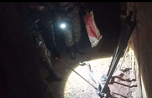 Jiboia &eacute; capturada pela PMA ap&oacute;s aparecer em ed&iacute;cula em cidade de MS