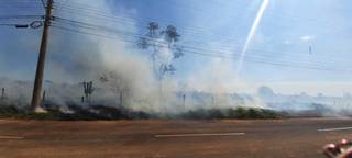 Onde antes era plantação de eucalipto, hoje incêndio virou problema constante. (Foto: Direto das Ruas)