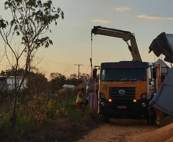 Choque entre caminh&otilde;es mata bois e espalha milho na pista 