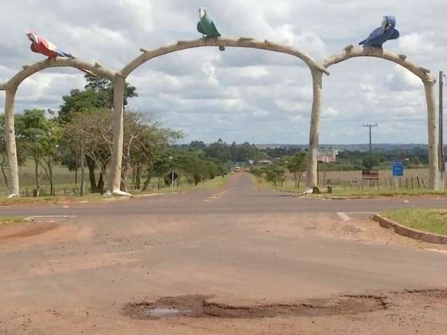 Com tiros at&eacute; na nuca, homem &eacute; encontrado morto em estrada 