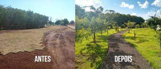Fotos de Reflorestamento de APP - Antes e depois dos atendimentos realizados pela ARATER. (Foto: Divulgação)