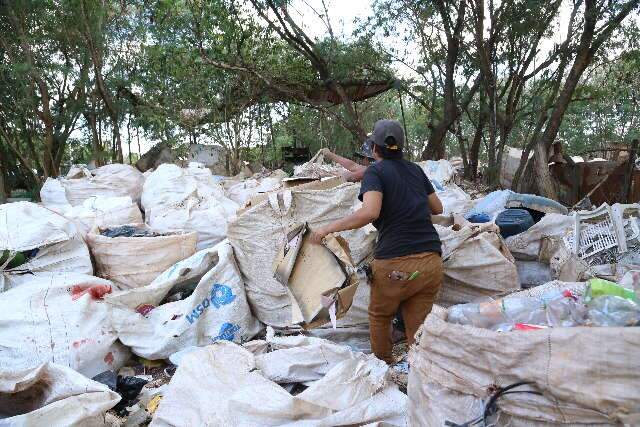 Acordos p&otilde;em fim a 136 a&ccedil;&otilde;es e &ldquo;gigantes&rdquo; v&atilde;o recolher 22% das embalagens em MS