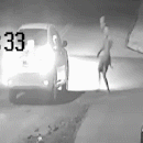 Vídeo mostra o “homem do bueiro” tentando roubar Corolla  