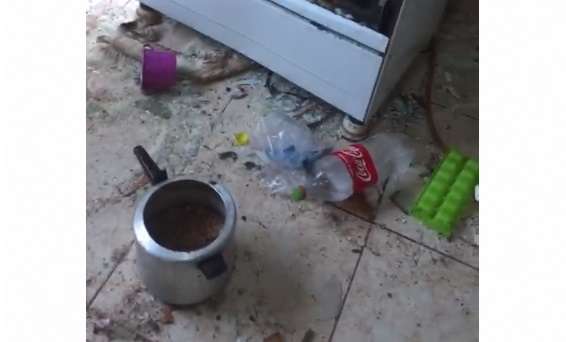 Homem destroi a casa da ex ap&oacute;s tentar mat&aacute;-la a facadas 