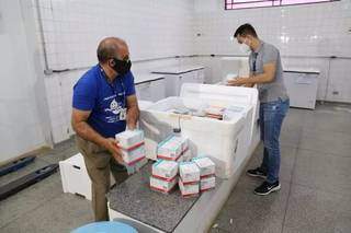 Separação de doses da vacina em almoxarifado público. (Foto: Paulo Francis)