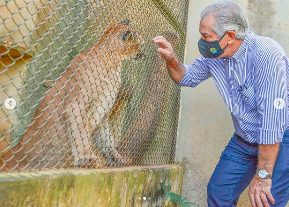 Governador sanciona lei de prote&ccedil;&atilde;o &agrave; fauna que prev&ecirc; multa de at&eacute; R$ 8,1 mil