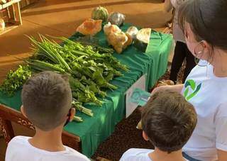 Crianças escolhendo os produtos orgânicos que vão comprar (Foto: Divulgação)