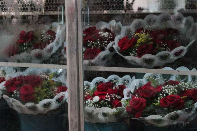“Vai tudo para o lixo”, dizem donos de floriculturas sobre ordem para fechar