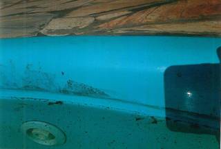 Piscina de casa do denunciante lotada de poeira decorrente da empresa de cimento. (Foto: Inquérito Civil)